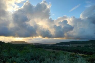 Guess the wine region