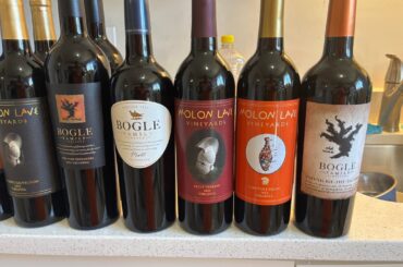 I’m a Newbie wine enthusiasts