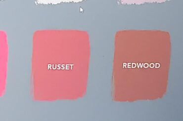 What paint colour can go with a black feature wall and smoked oak furniture?