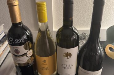 Wines from Hungary