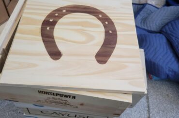 Greetings/ Introduction