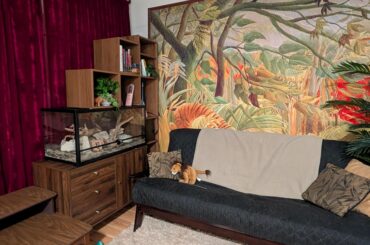 What sort of lamp to go in the corner?