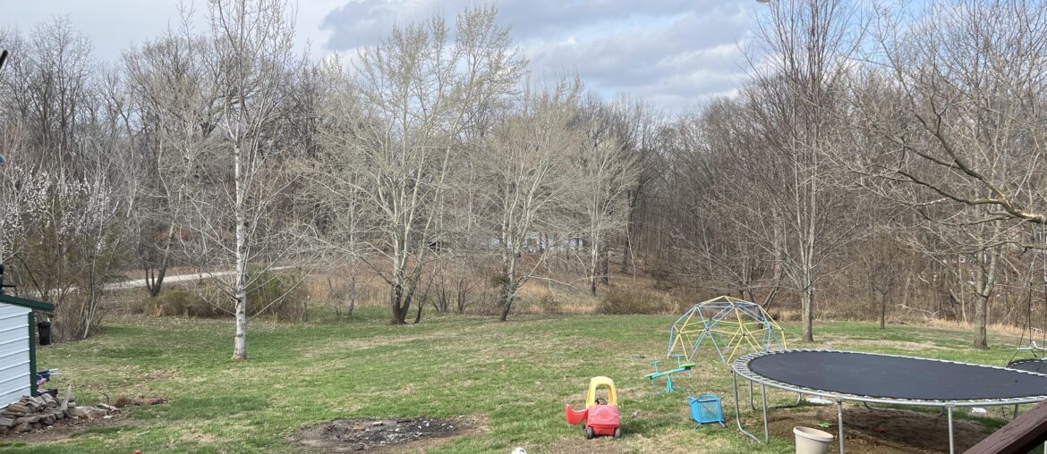 We have a small pool we will put back up this year and I’d also like to turn our little burn spot into a fire pit with chairs. I want the back yard to look nice and not just a jumbled mess. Can someone like map out how you would design our backyard? I just don’t know where to even start. We have a small pool we will put back up this year and I’d also like to turn our little burn spot into a fire pit with chairs. I want the back yard to look nice and not just a jumbled mess. Can someone like map out how you would design our backyard? I just don’t know where to even start.