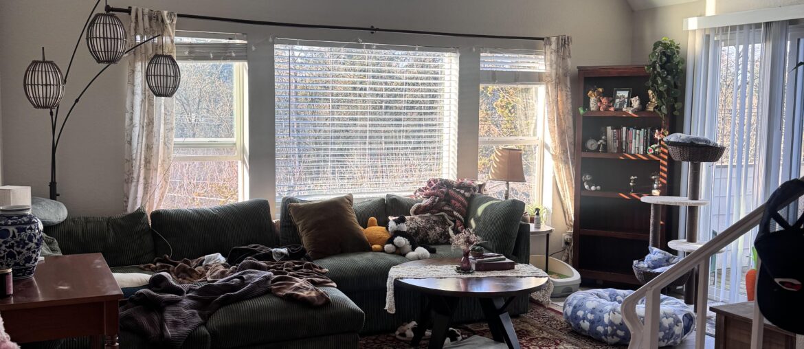 Any idea how to decorate this wall full of windows ??