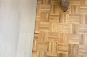 Having a hard time picking a wall colour to go with this LVP floor. Want something other than white/beige