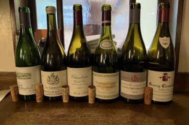 Burgundy Lineup March 2026