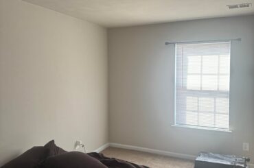 What color curtains?