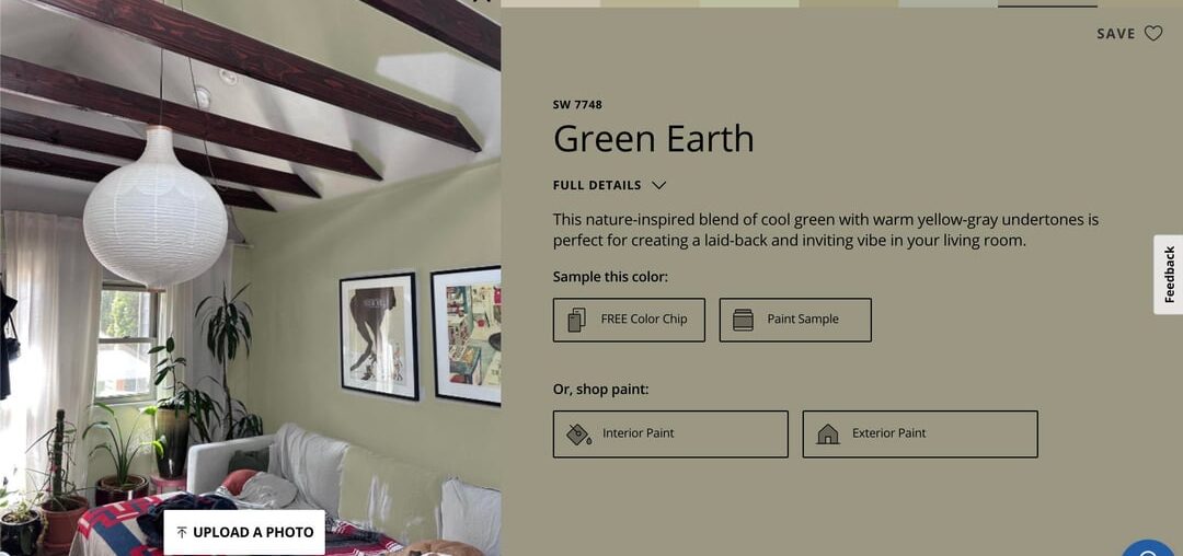 Are we heading the right direction for paint color in our ADU?