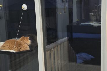 Privacy film on sliding doors