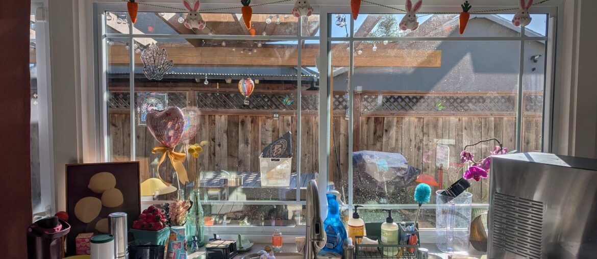 Curtain suggestions Curtain suggestions