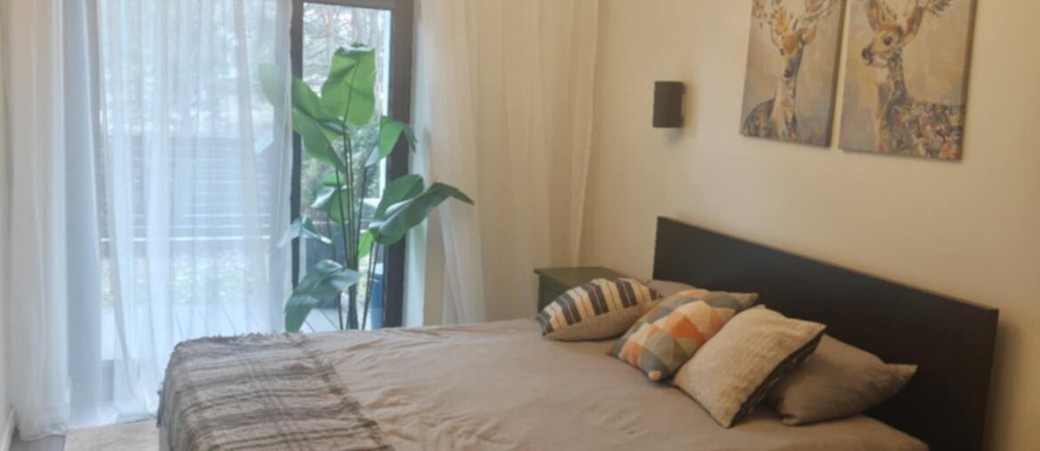 I need advice on whether this plant is suitable here. What do you think? Does it look okay, or not very good? I need advice on whether this plant is suitable here. What do you think? Does it look okay, or not very good?