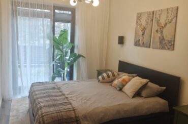 I need advice on whether this plant is suitable here. What do you think? Does it look okay, or not very good?