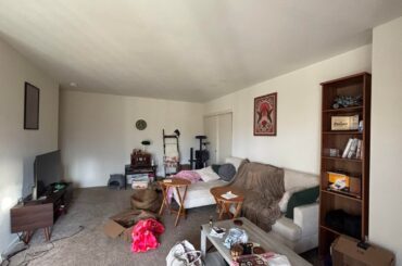 Looking for advice about my living room (please)