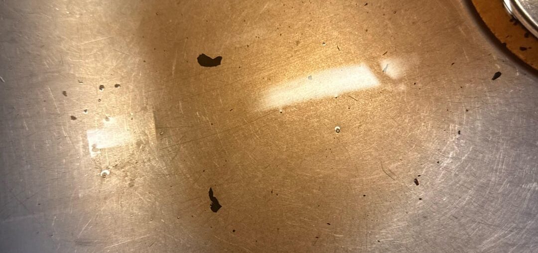 Inquiry on strange substance coming out of my parents GatoNegro Wine box