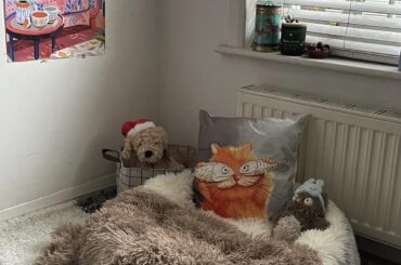 Tiny room hack: turned a pet bed into my own cosy corner 🎀✨