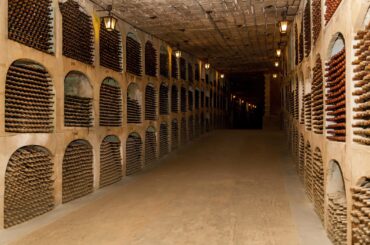 Uncovered wine cellar
