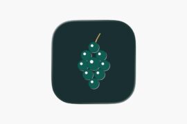 New WSET study app - iOS
