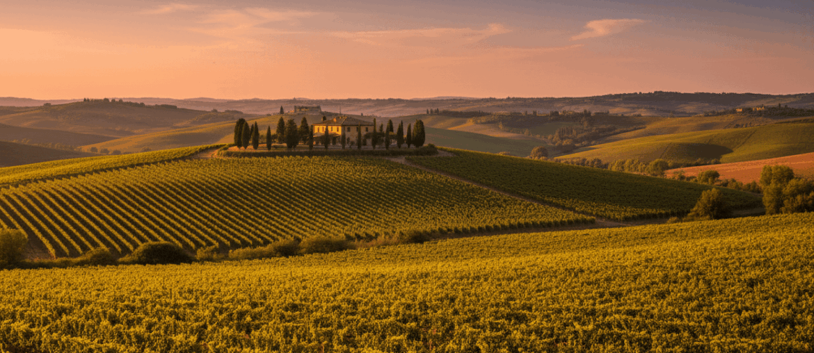 I built an interactive map of all Italian DOC/DOCG wine zones I built an interactive map of all Italian DOC/DOCG wine zones