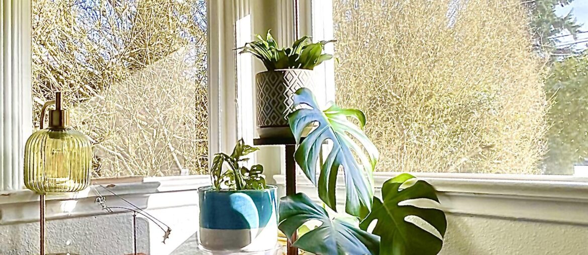 Bedside Manner Bedside Manner