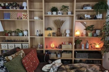 Tried to declutter the shelves (only done the upper half), any advice?