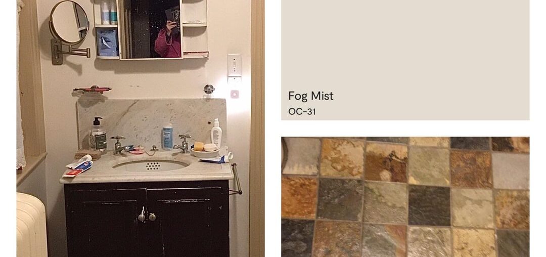 Choosing paint for beat up bathroom.