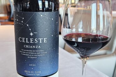 Torres Pago del Cielo Celeste Ribera Del Duero Crianza 2022, Spain