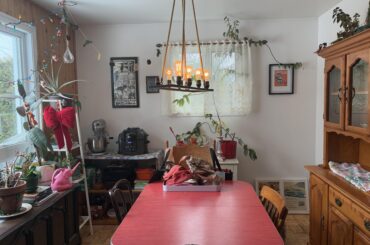 In need of advice please. I wanna change the light fixture in our dining room. Any ideas what would look great?