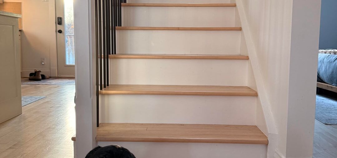 Lifesaving Stairway Runner