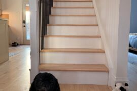 Lifesaving Stairway Runner