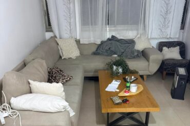 Help me choose a carpet for my living room