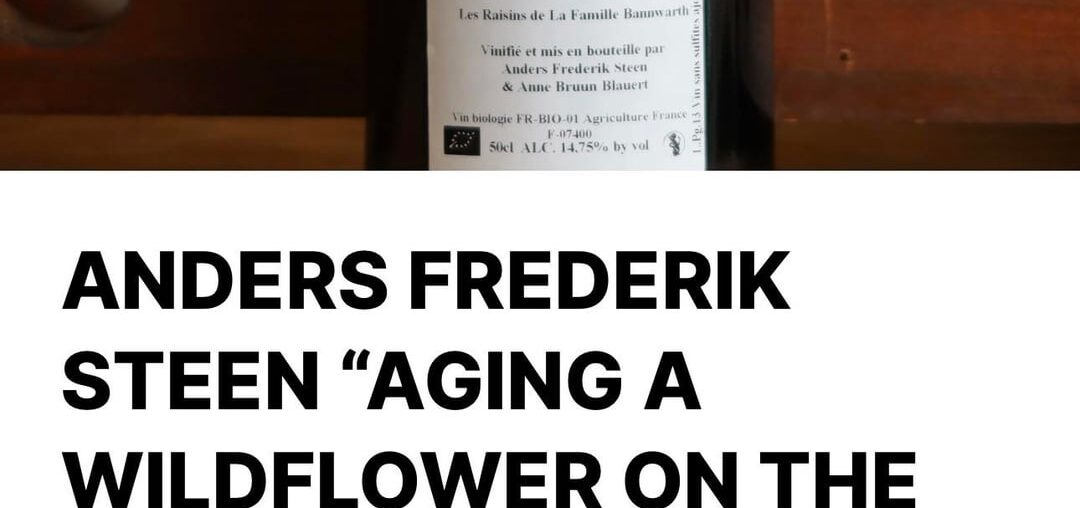 Has anyone had either of these?