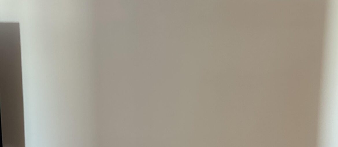 What color furniture with light grey walls and flooring?