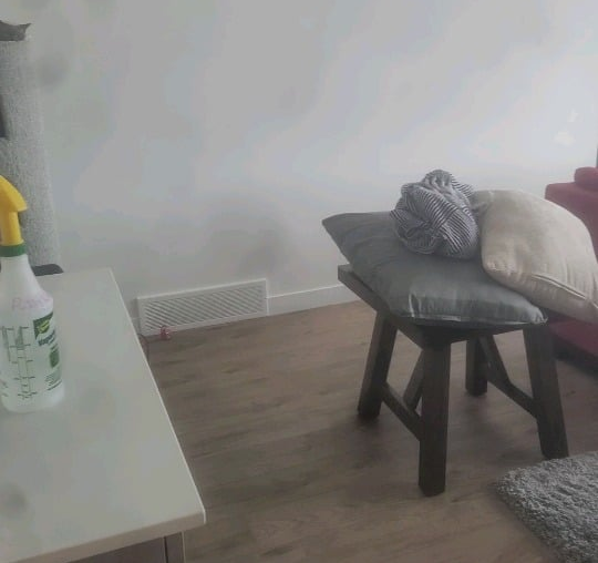 I got a red couch, struggling with throw pillows now.