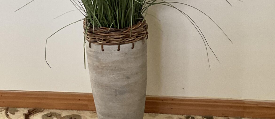 Trying to find a replacement