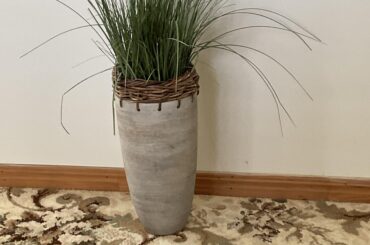 Trying to find a replacement