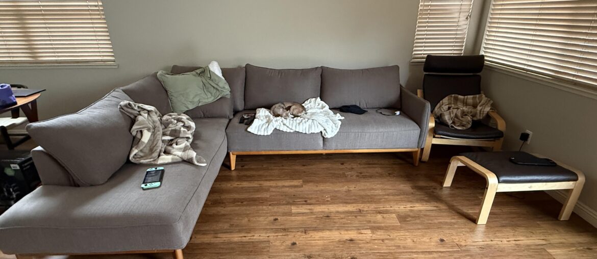 Help me choose a rug!! Help me choose a rug!!