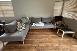 Help me choose a rug!!