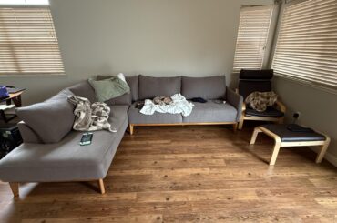 Help me choose a rug!!