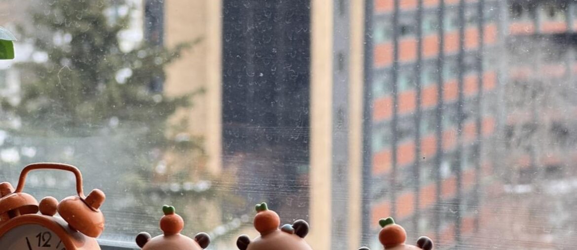 Starting a cute capybara collection!