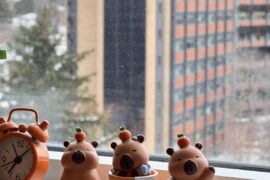 Starting a cute capybara collection!