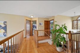 Carpet color recommendations