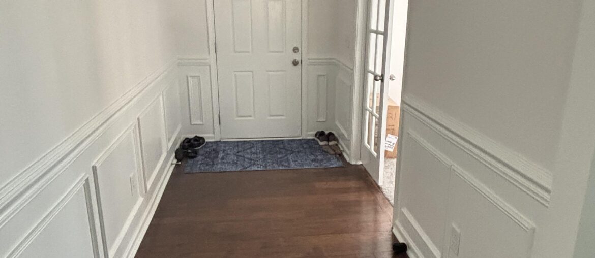 Runner ideas for entry way. Would 1 or 2 runners work better here? Thanks!