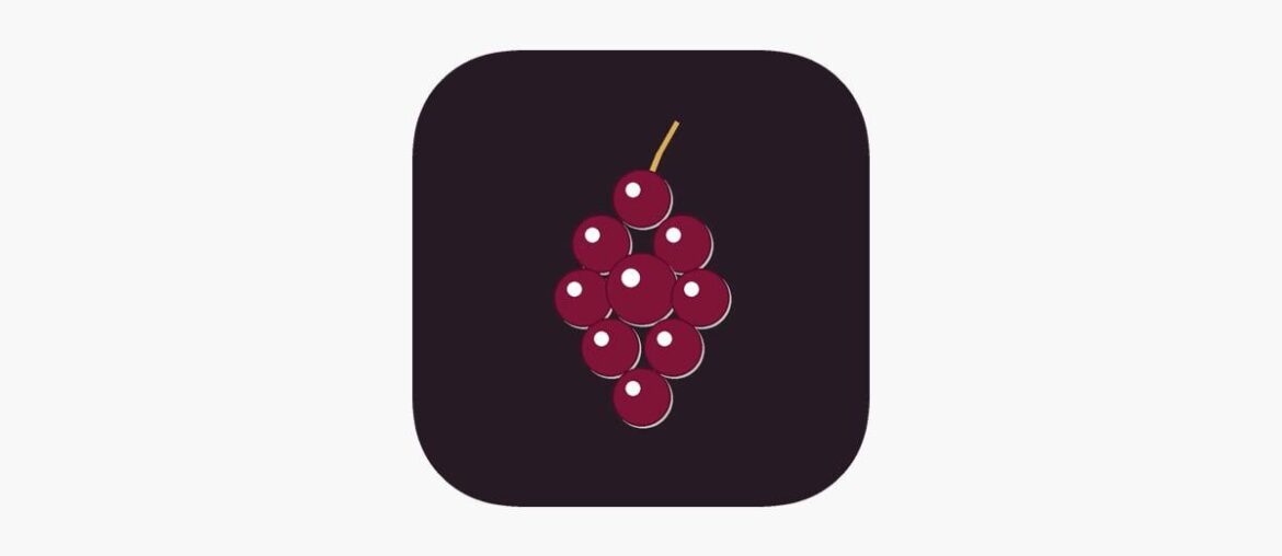 NEW study app for WSET 3