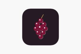 NEW study app for WSET 3