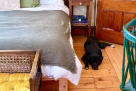 My dog is getting too old to jump up on the bed from the hardwood floor - I need a rug to go alongside my bed. What colors/styles would look good?