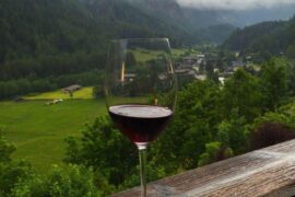 Who else is excited about this amazing plan?🍇