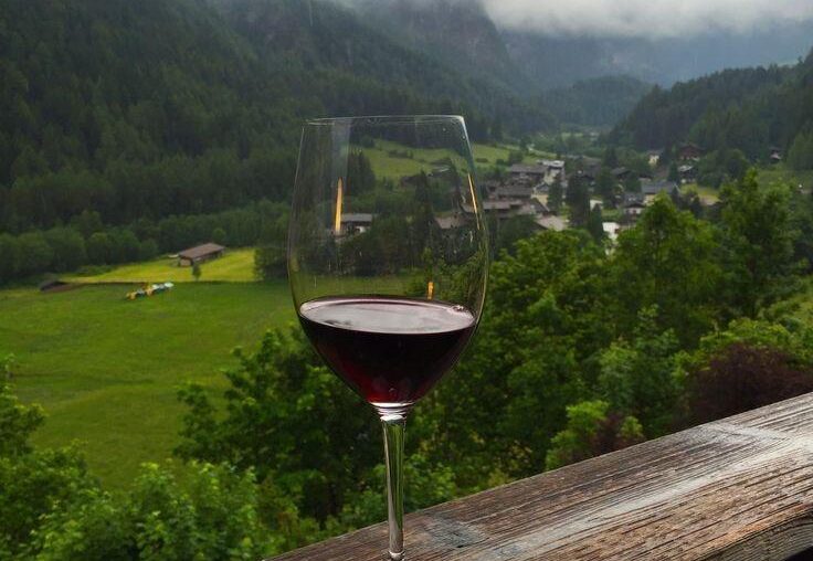 Who else is excited about this amazing plan?🍇