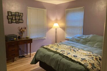 What color curtains for my purple spare room?