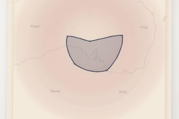 Introducing vynr - early beta for wine lovers