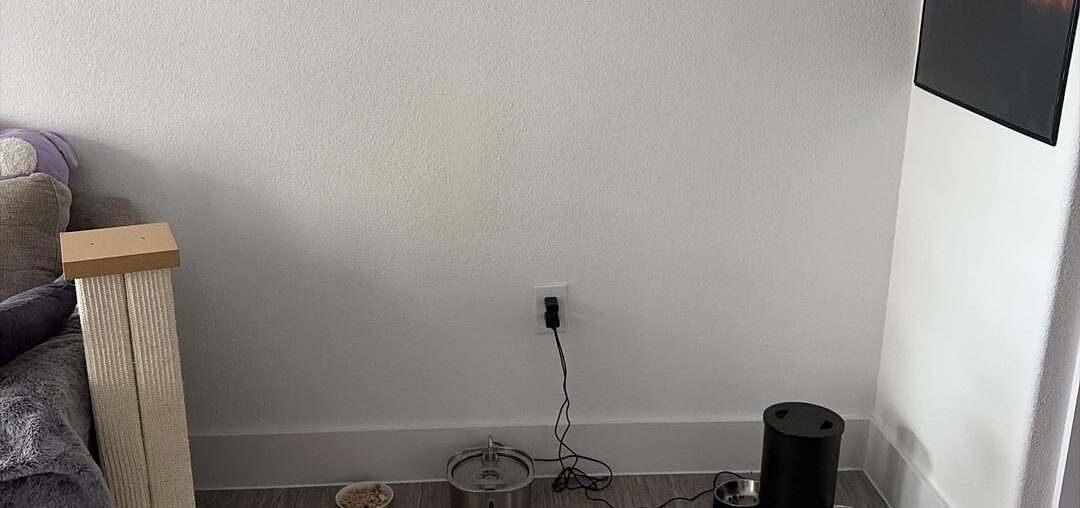 Ideas to make my cat’s feeding nook less boring? Ideas to make my cat’s feeding nook less boring?